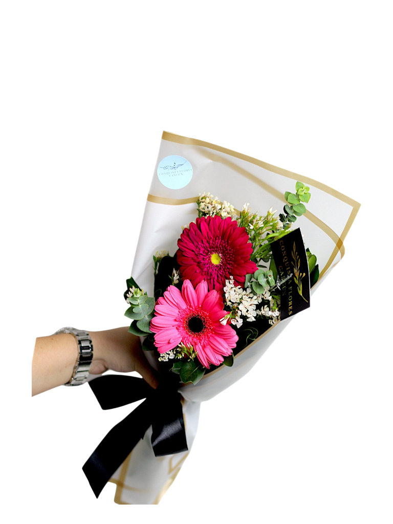 Ramo 2 Gerberas