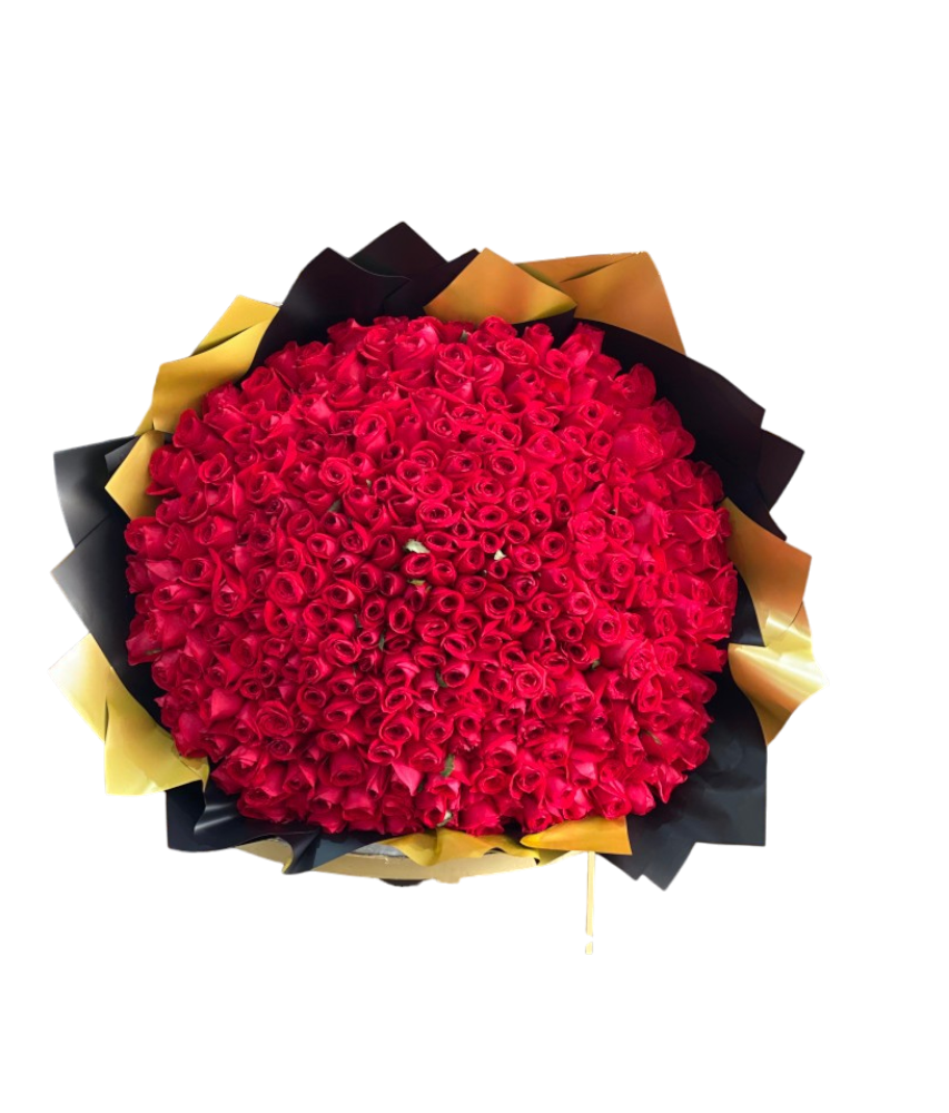 Ramo buchón 500 rosas